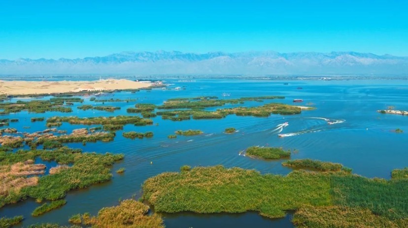 高到低共分, 伸两手, 科创宁东 高到低共分, 伸两手, 科创宁东