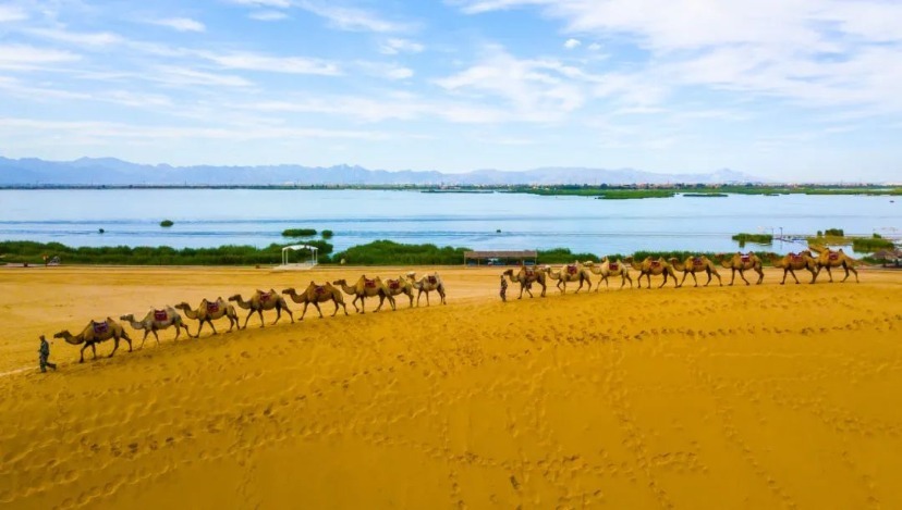 https, 入中国 https, 入中国