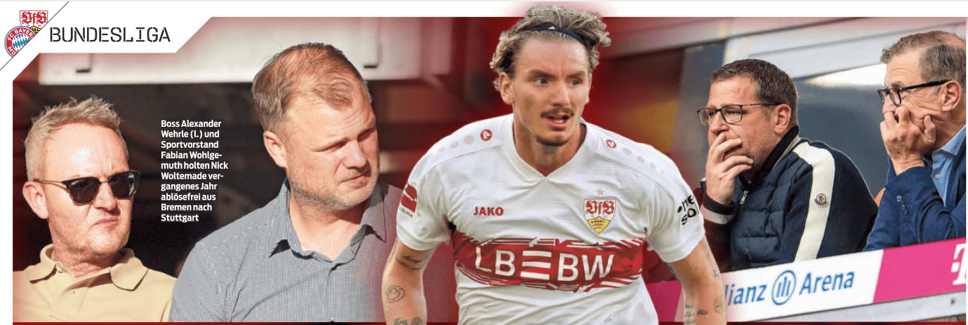 天体直播采, 斯图加特执